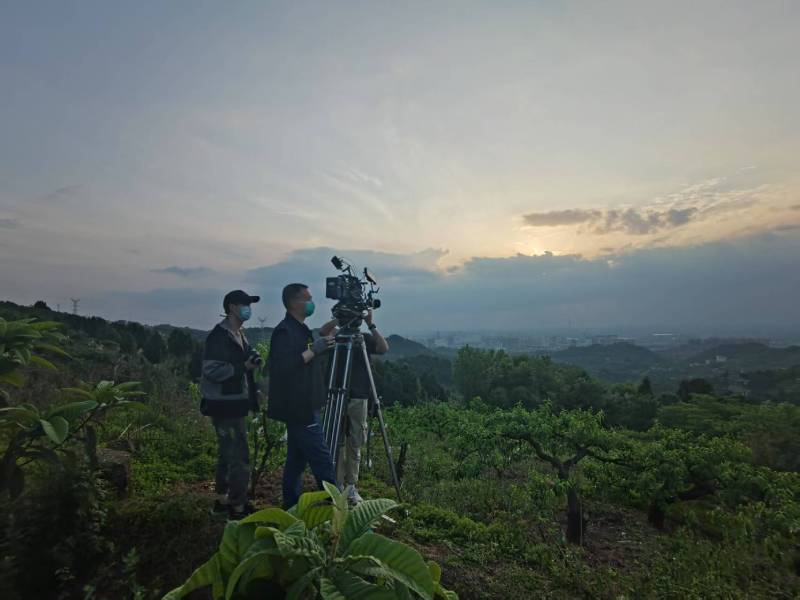 创意破圈！东至县电商产品宣传视频用故事化叙事引爆流量