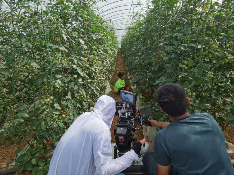 东至县产品宣传视频拍摄公司进阶指南，助力品牌抢占传播高地